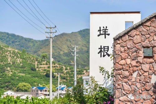 玉環(huán)有個(gè)垟根村